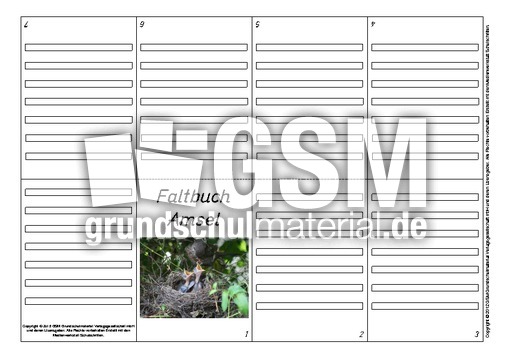 Faltbuch-Amsel-L-4.pdf